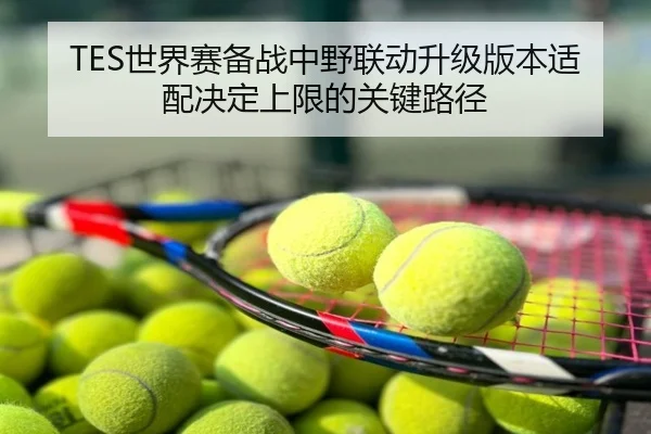 TES世界赛备战中野联动升级版本适配决定上限的关键路径