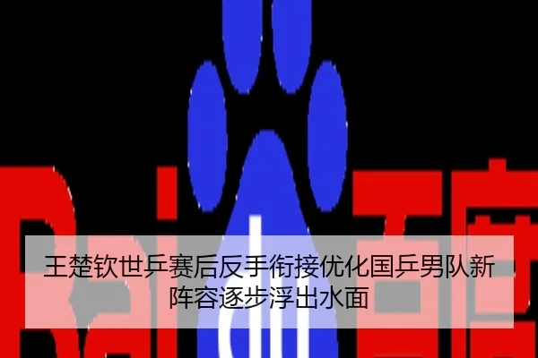 王楚钦世乒赛后反手衔接优化国乒男队新阵容逐步浮出水面